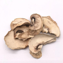 Wholesale Washed Dried Mushroom Slices Dried Champignon Factory supply